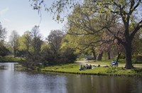 The Hortus Botanicus of Leiden